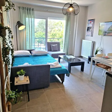 Apartment Palaia Premium Flat *